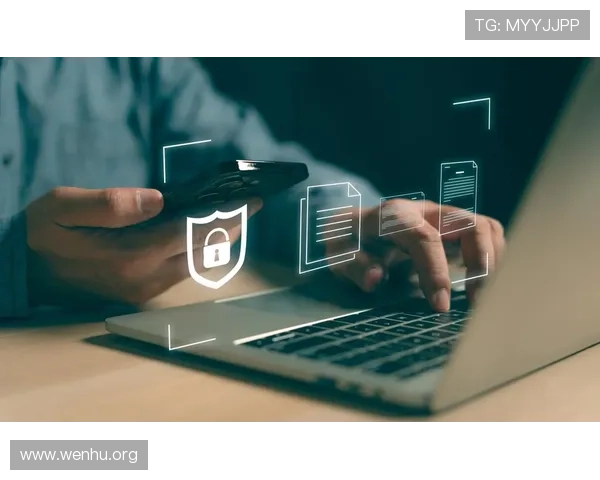 火狐视讯娱乐平台的安全防护措施与用户隐私保护策略分析
